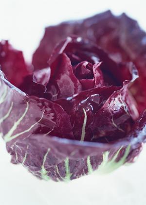 東京国際フォーラム内のシェイクシャック – おいしさと快適さの融合