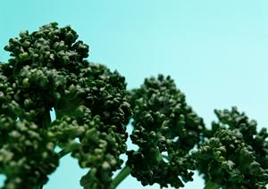 南越谷駅徒歩2分の肉料理とワインビュッフェが楽しめる越谷ミート酒場 ビンゴ